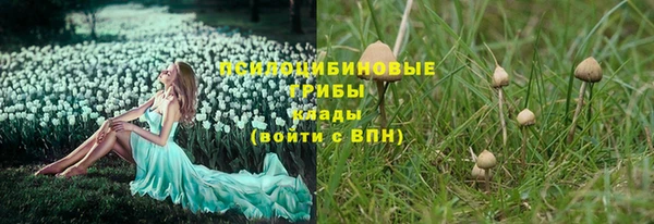 стаф Баксан