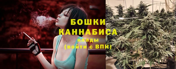 стаф Баксан