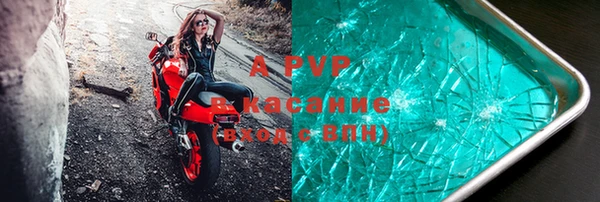 стаф Баксан