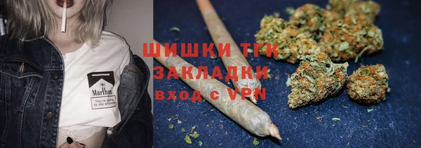 шишки Балахна