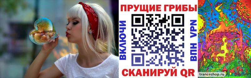Галлюциногенные грибы Cubensis  купить наркоту  Озёры 